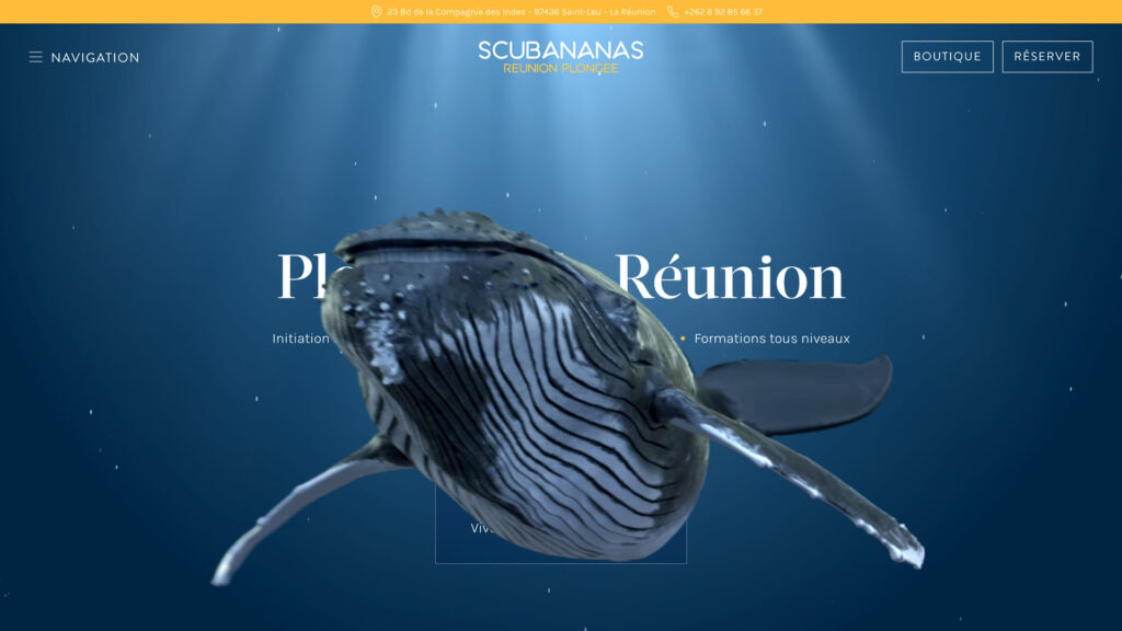 Image de couverture - Projet Scubananas